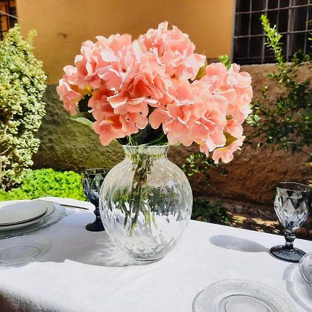 Maila Apartments 25Min From Florence プラート エクステリア 写真
