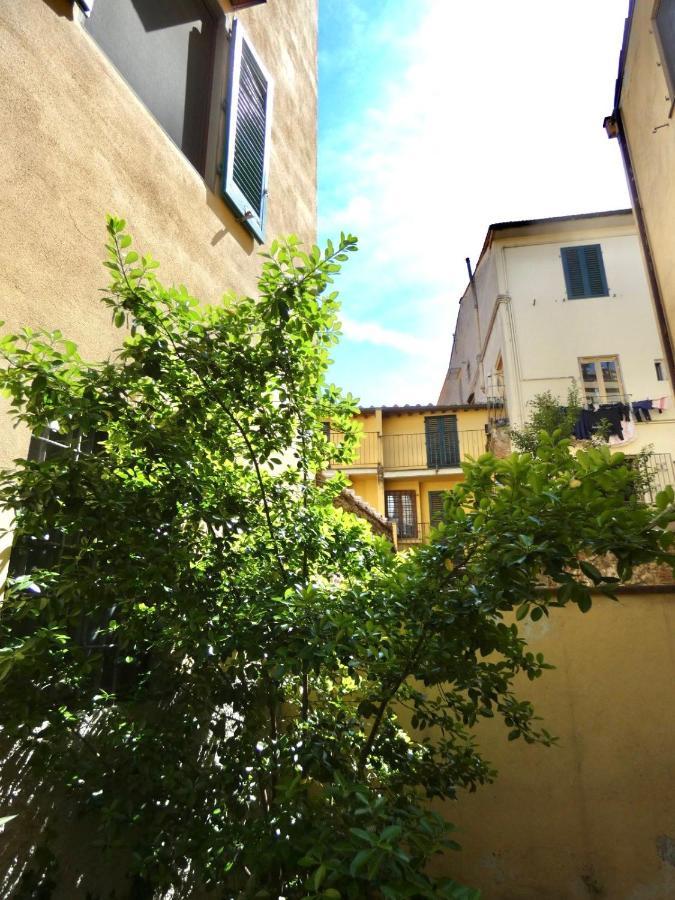 Maila Apartments 25Min From Florence プラート エクステリア 写真